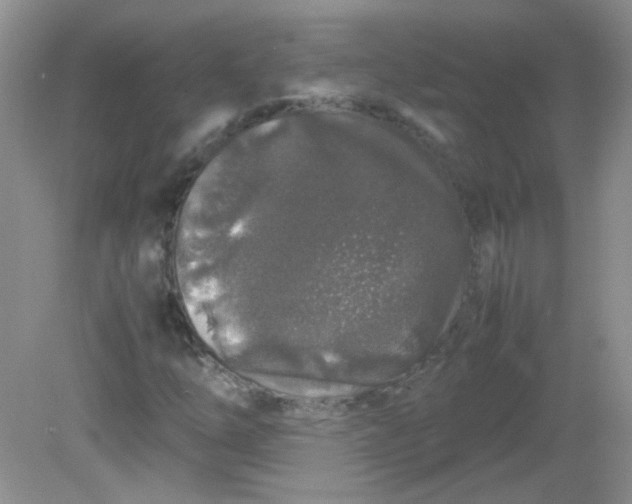 X0000081611254200701291418