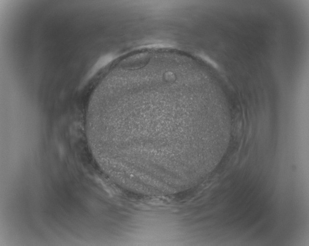 X0000081611255200701291418