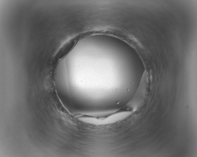 X0000081611256200701291418