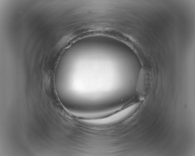 X0000081611257200701291418