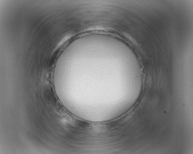 X0000081611258200701291418