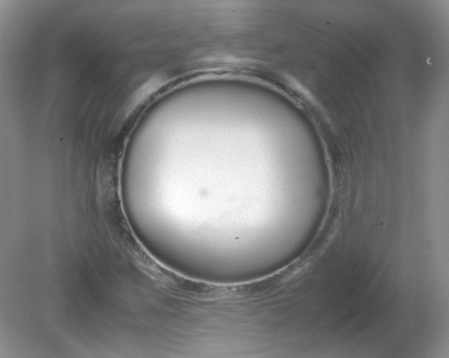 X0000081611259200701291418