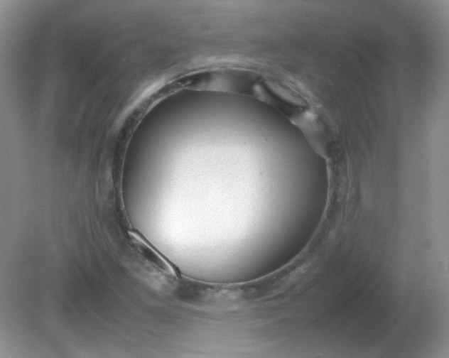 X0000081611261200701291418