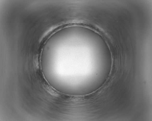 X0000081611262200701291418