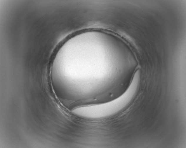 X0000081611264200701291418