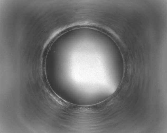 X0000081611270200701291418