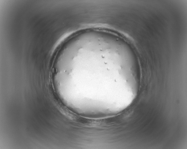 X0000081611271200701291418