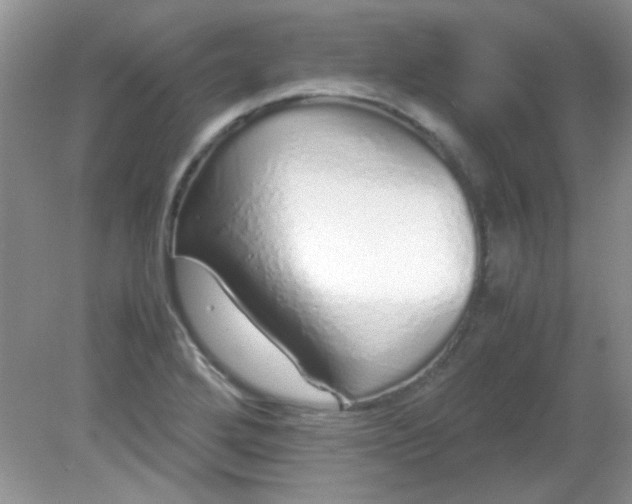 X0000081611272200701291418