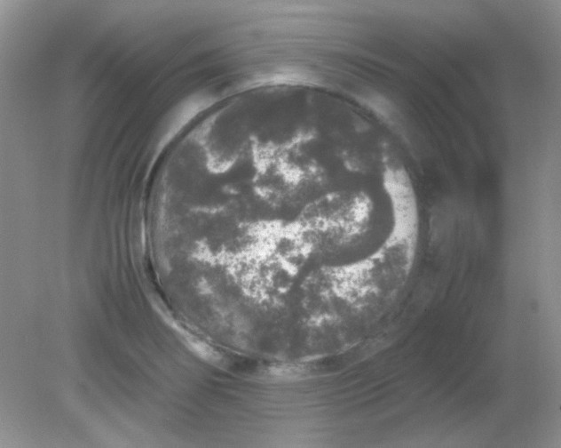 X0000081611274200701291418