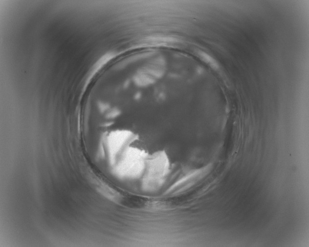 X0000081611275200701291418