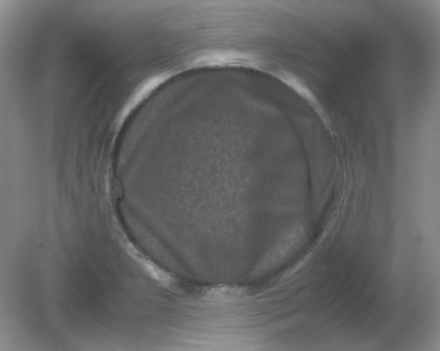 X0000081611277200701291418