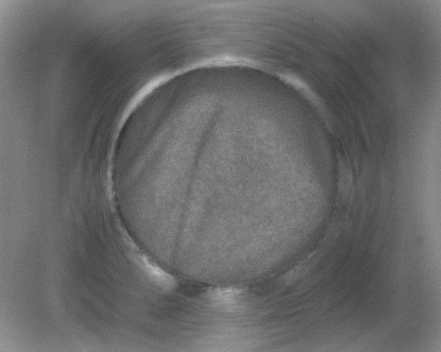 X0000081611278200701291418