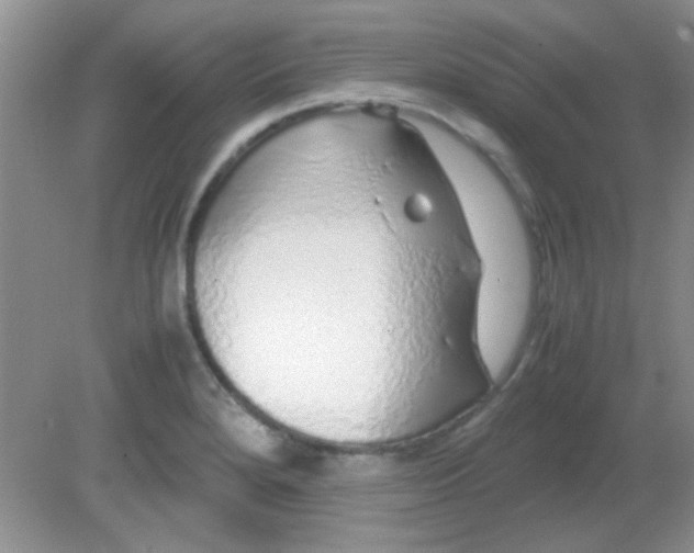 X0000081611280200701291417