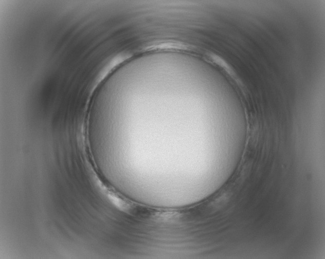 X0000081611282200701291417