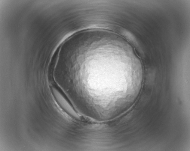 X0000081611284200701291417