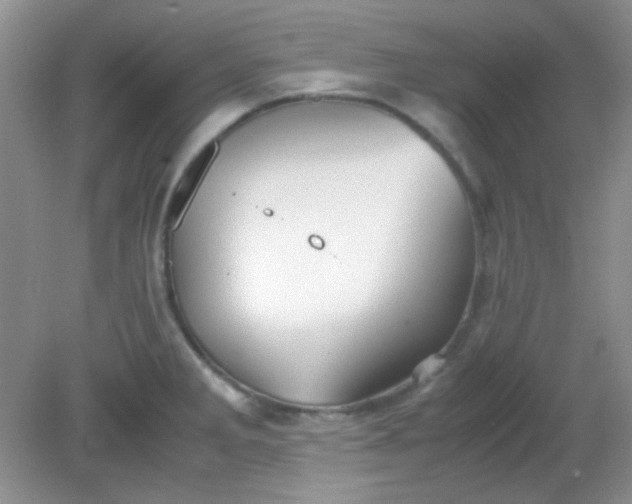 X0000081611285200701291417