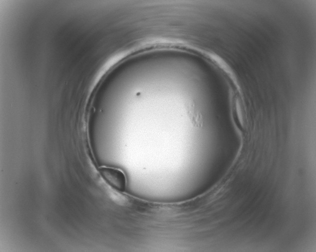 X0000081611287200701291417