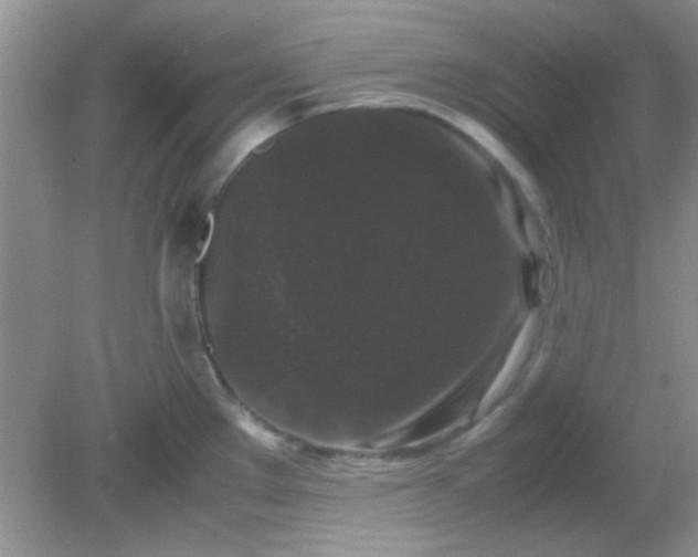 X0000081611289200701291417