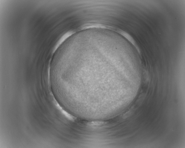 X0000081611290200701291417