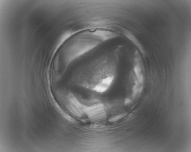 X0000081611291200701291417