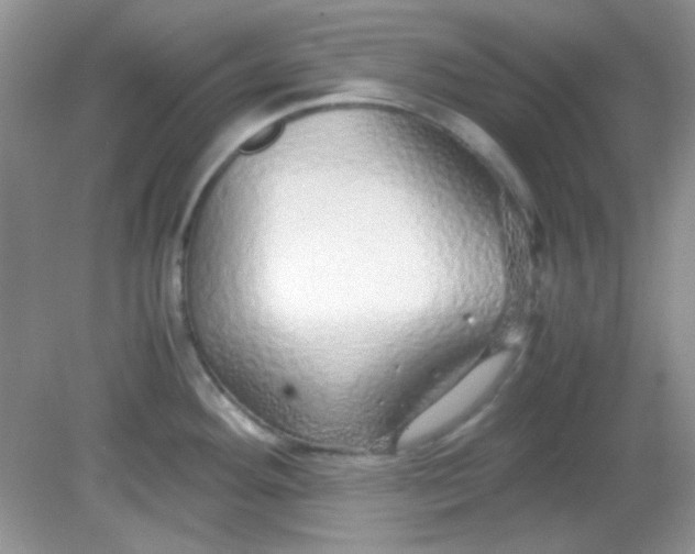 X0000081611292200701291417