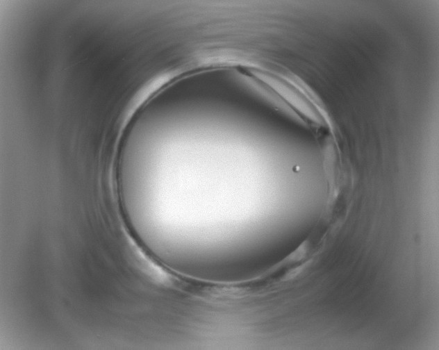 X0000081611293200701291417