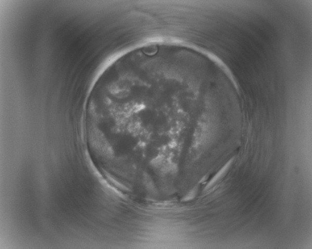 X0000081611295200701291417