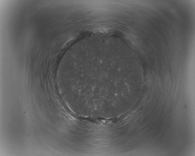 X0000081611297200701291416