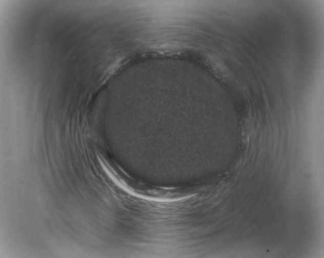 X0000081611298200701291416