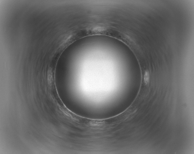 X0000081611299200701291416