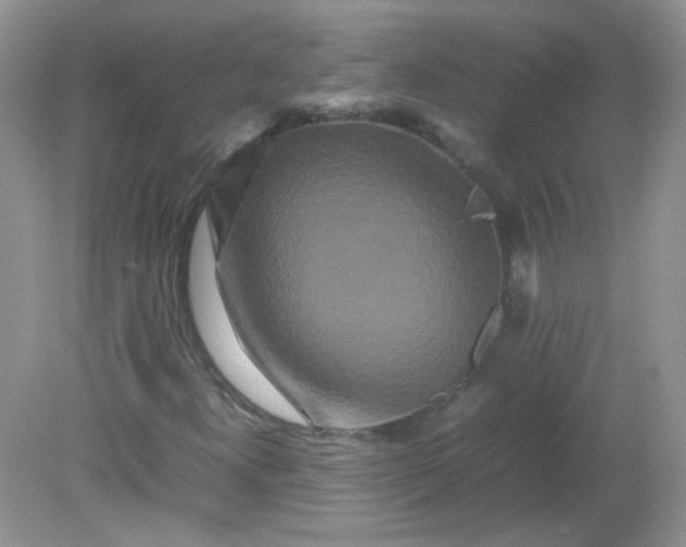 X0000081611300200701291416