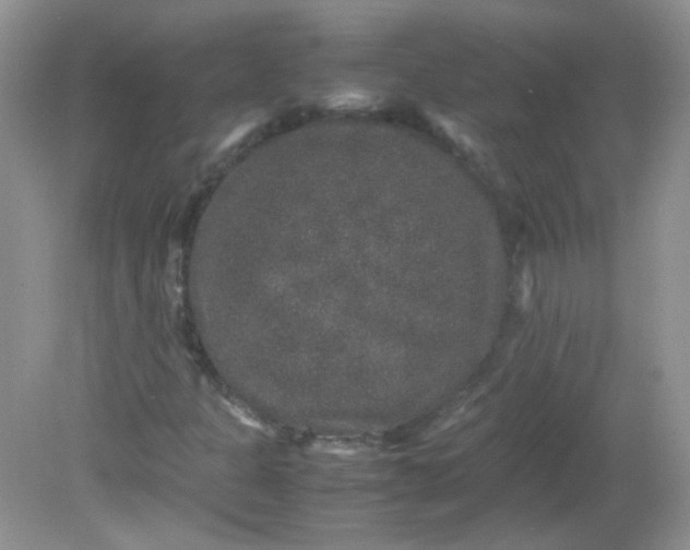 X0000081611301200701291416