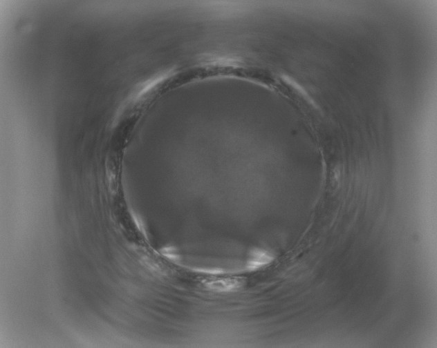 X0000081611303200701291417