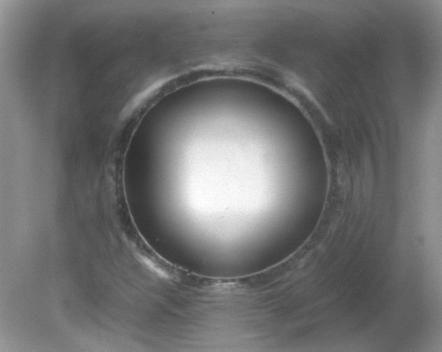 X0000081611304200701291417