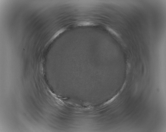 X0000081611305200701291417