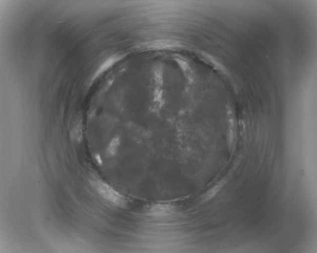 X0000081611306200701291417