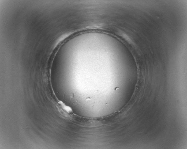 X0000081611308200701291417