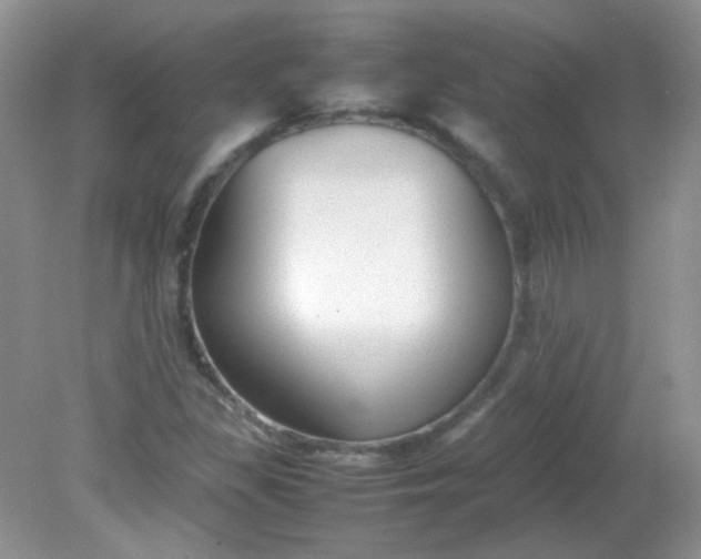 X0000081611309200701291417