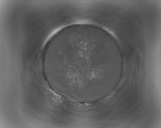 X0000081611311200701291417