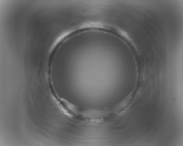 X0000081611312200701291417