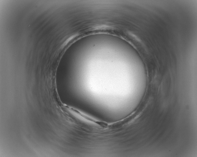 X0000081611313200701291417