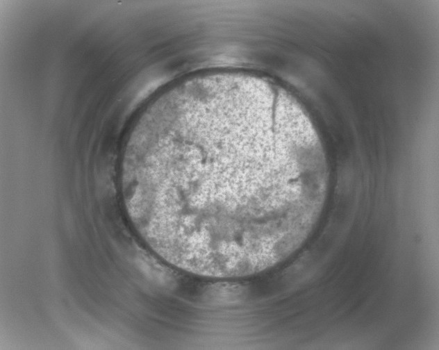 X0000081611314200701291417