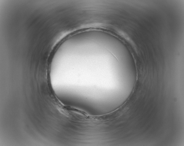 X0000081611316200701291417