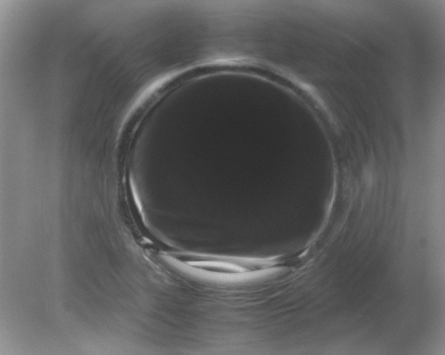 X0000081611319200701291417