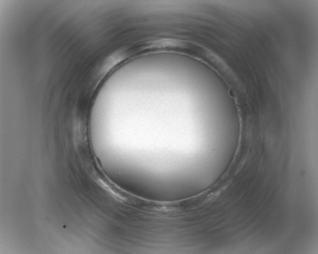 X0000081611321200701291417