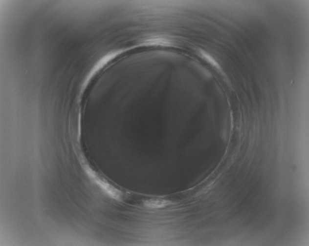 X0000081611323200701291417