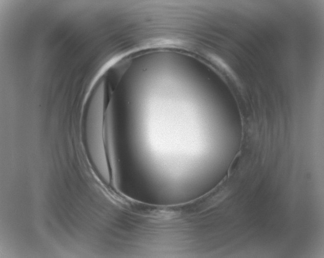 X0000081611324200701291417