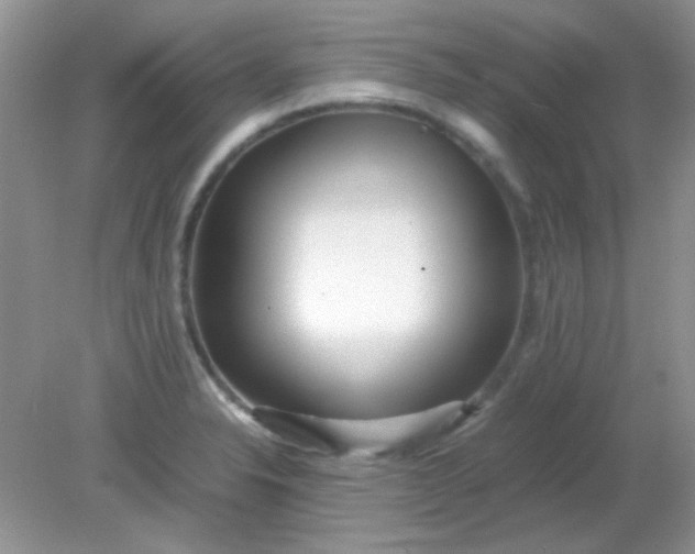 X0000081611326200701291417