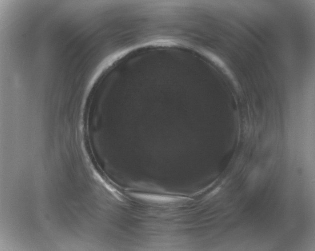 X0000081611327200701291417