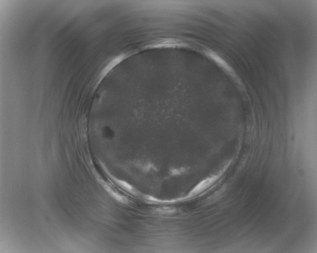 X0000081611329200701291417